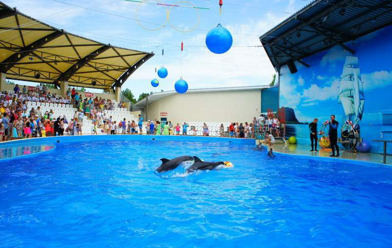 Анапский дельфинарий