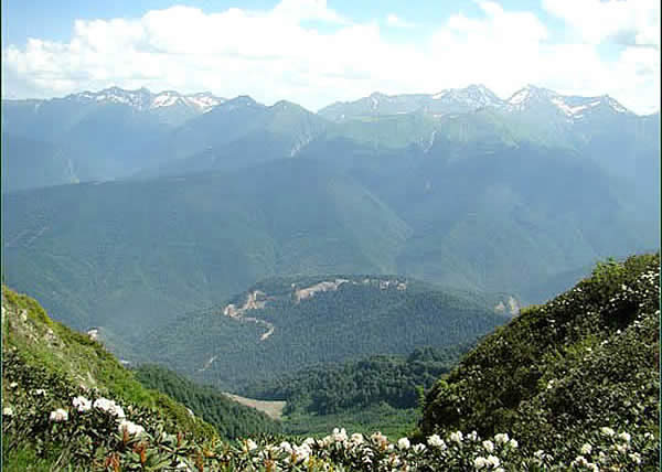 Красная поляна, Сочи